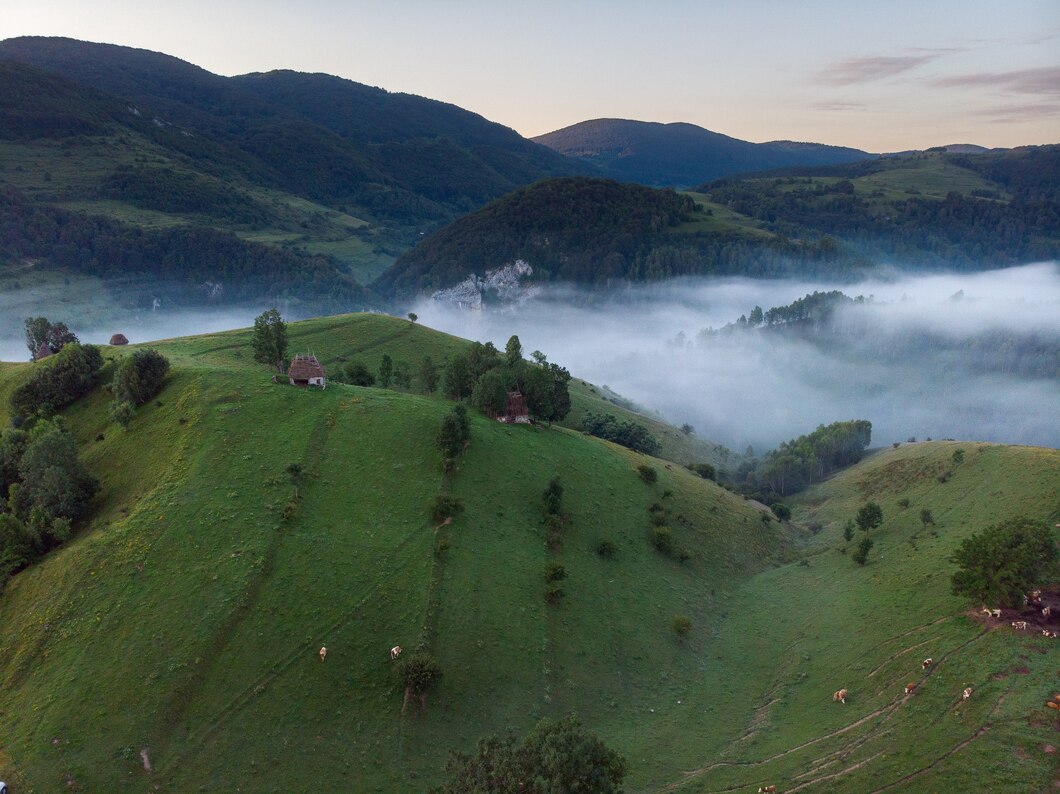 Карпати